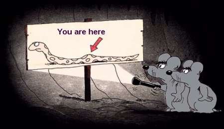 You are here